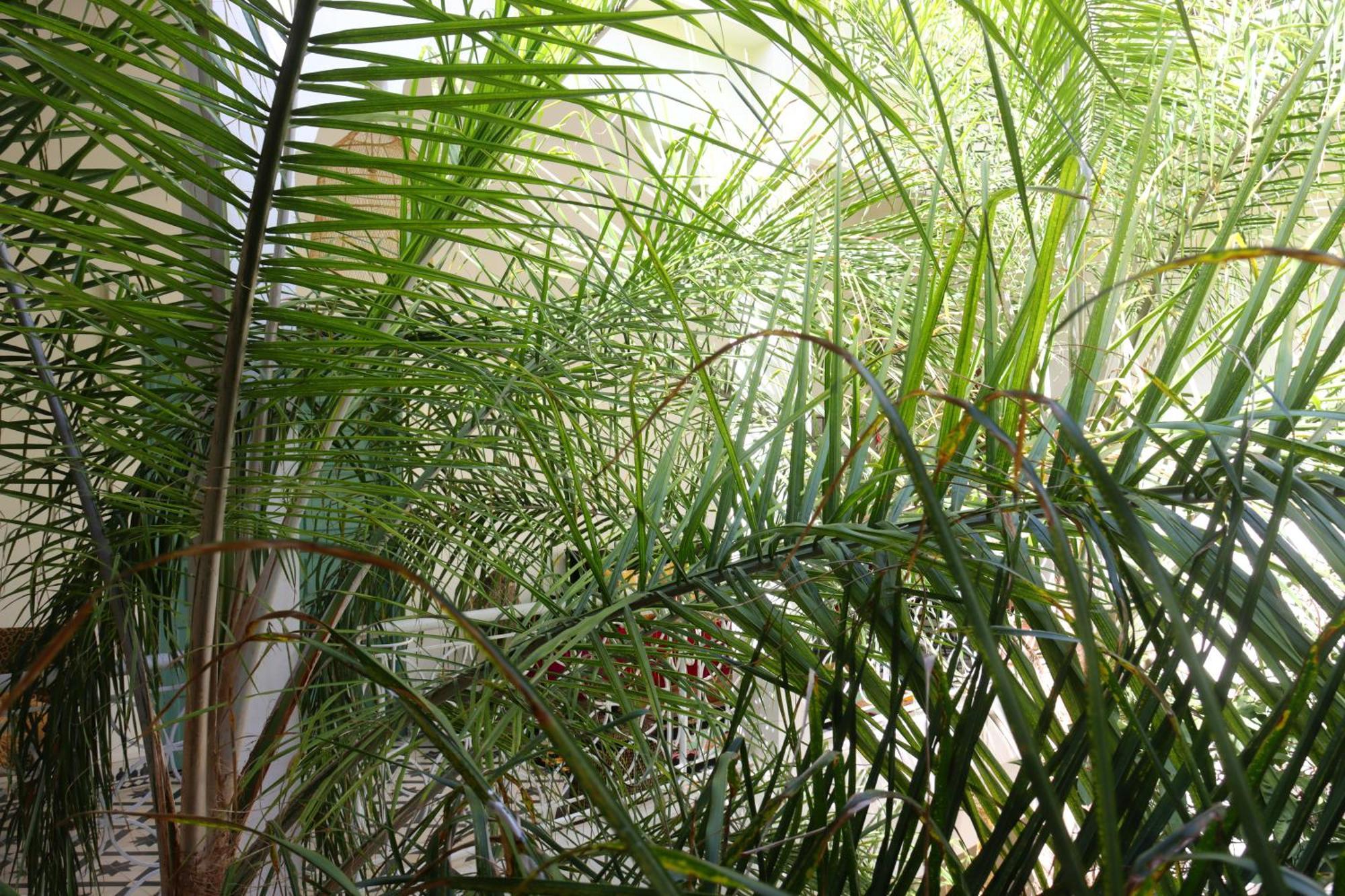 Riad Naanaa Bed & Breakfast Marrakesh Luaran gambar
