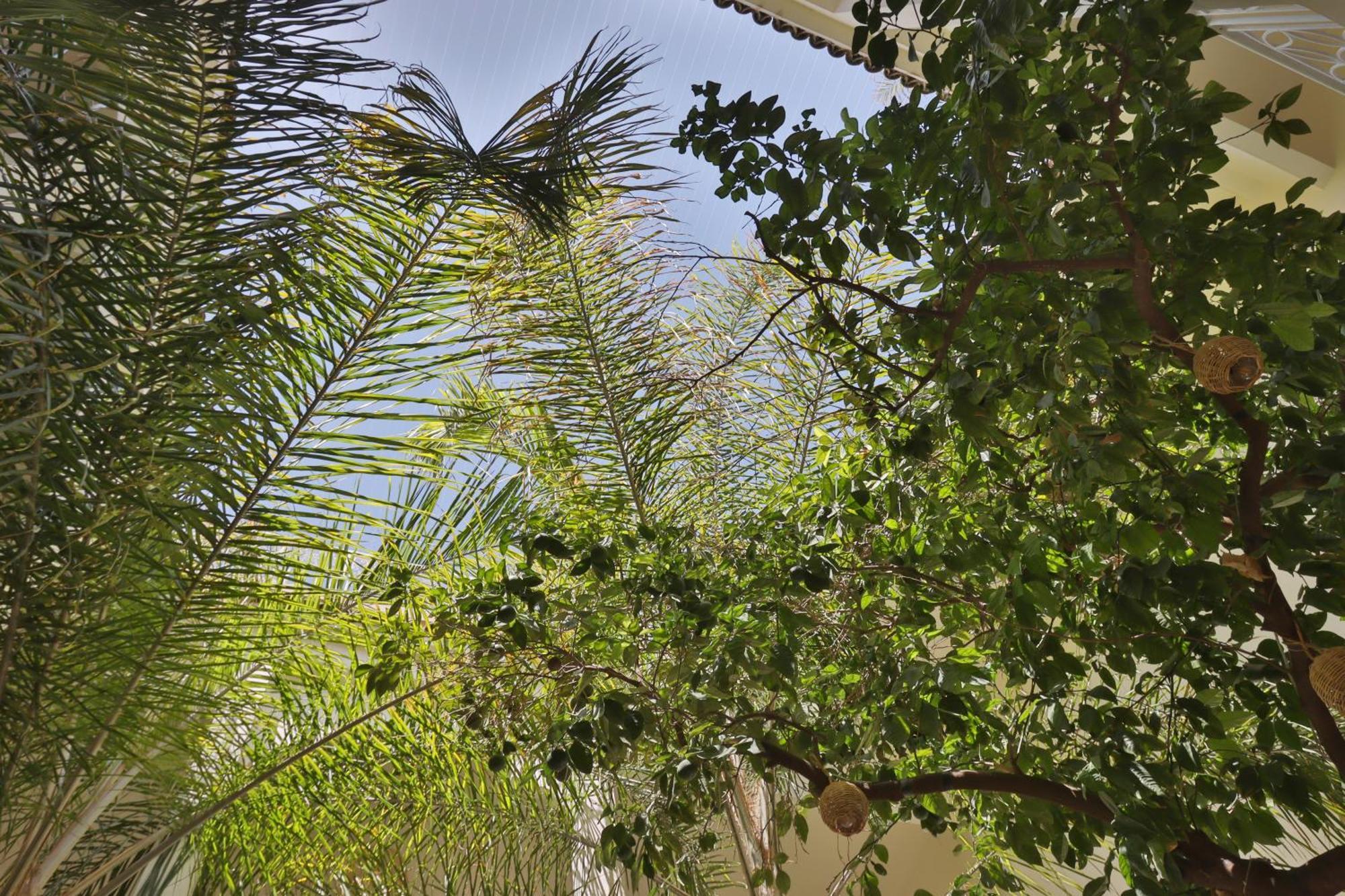 Riad Naanaa Bed & Breakfast Marrakesh Luaran gambar